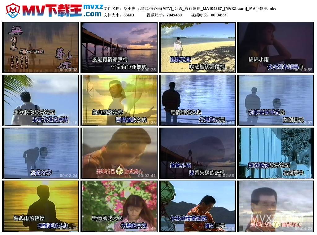 蔡小虎-无情风伤心雨(MTV)_台语_流行歌曲_MA104887
